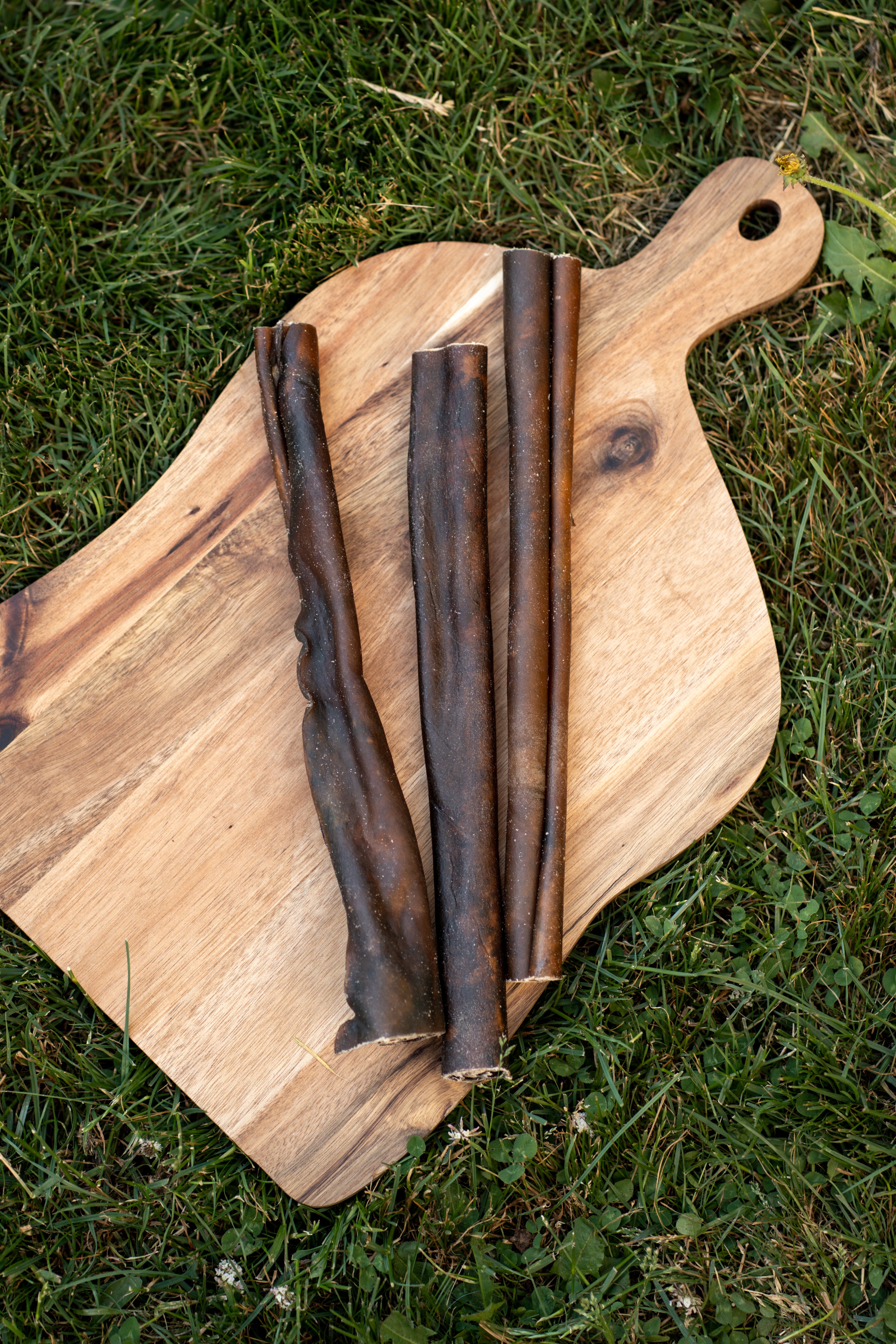 30cm Camel Skin Roll