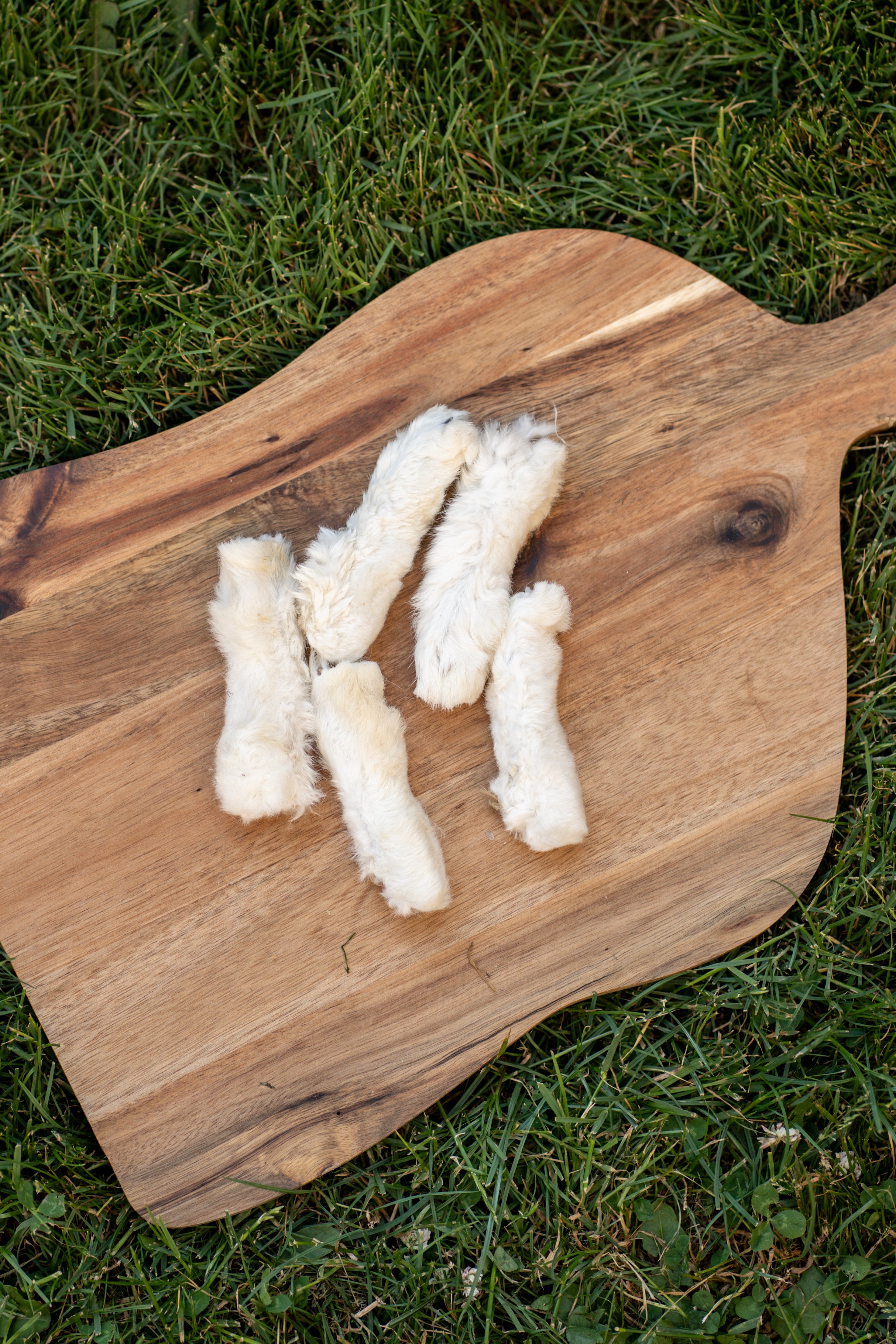 Hairy Rabbit Feet