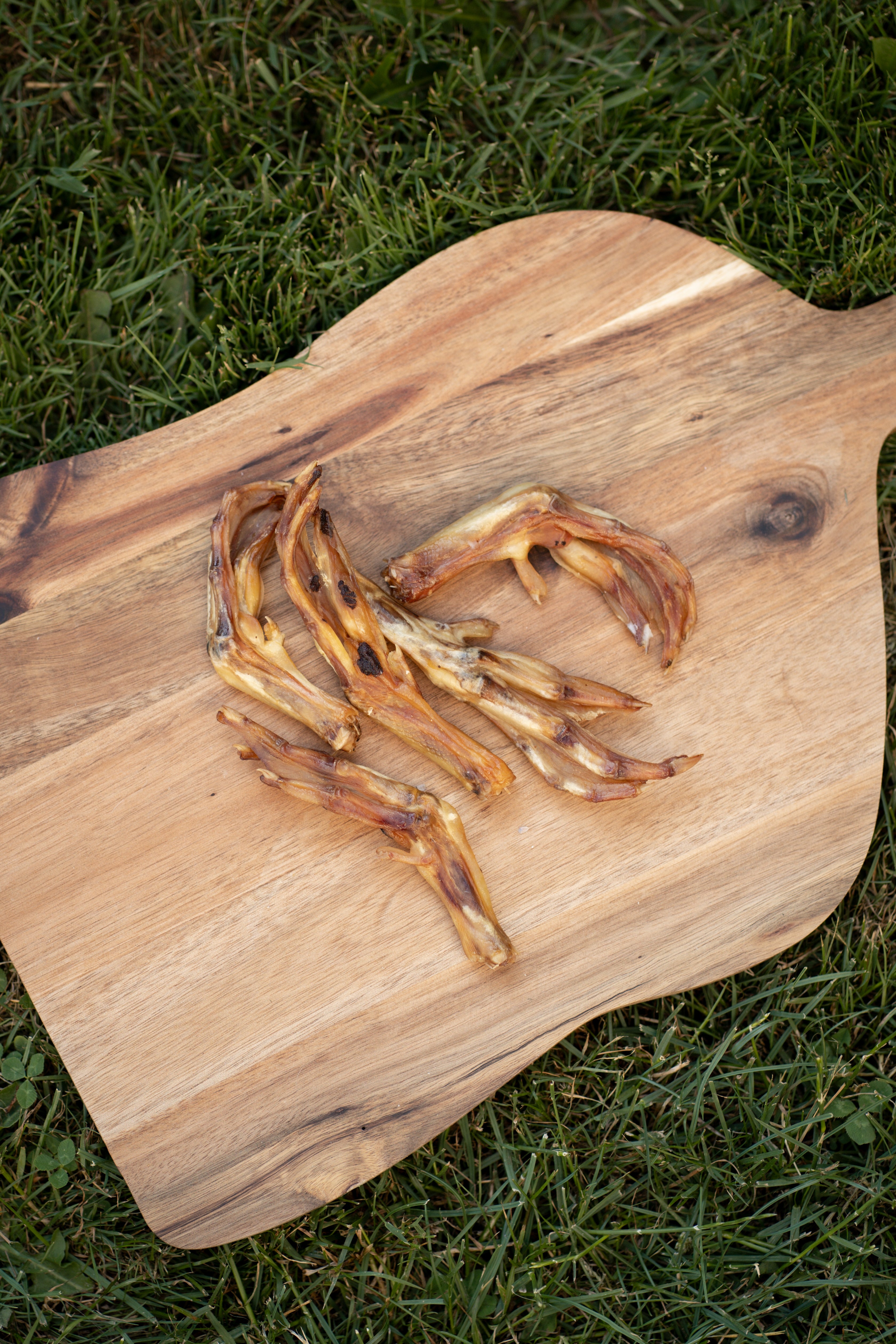 Duck Feet