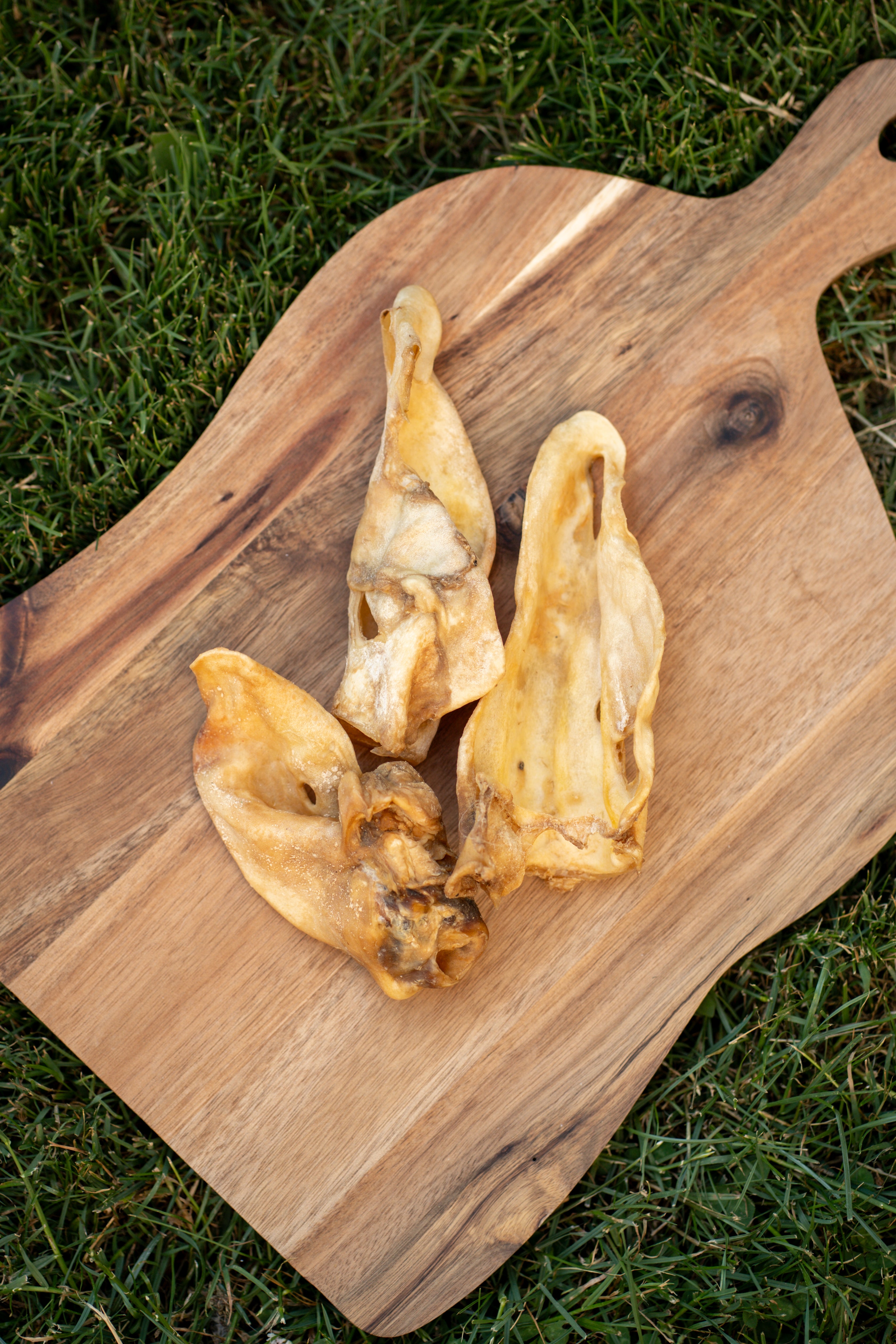 Meaty Cow Ear