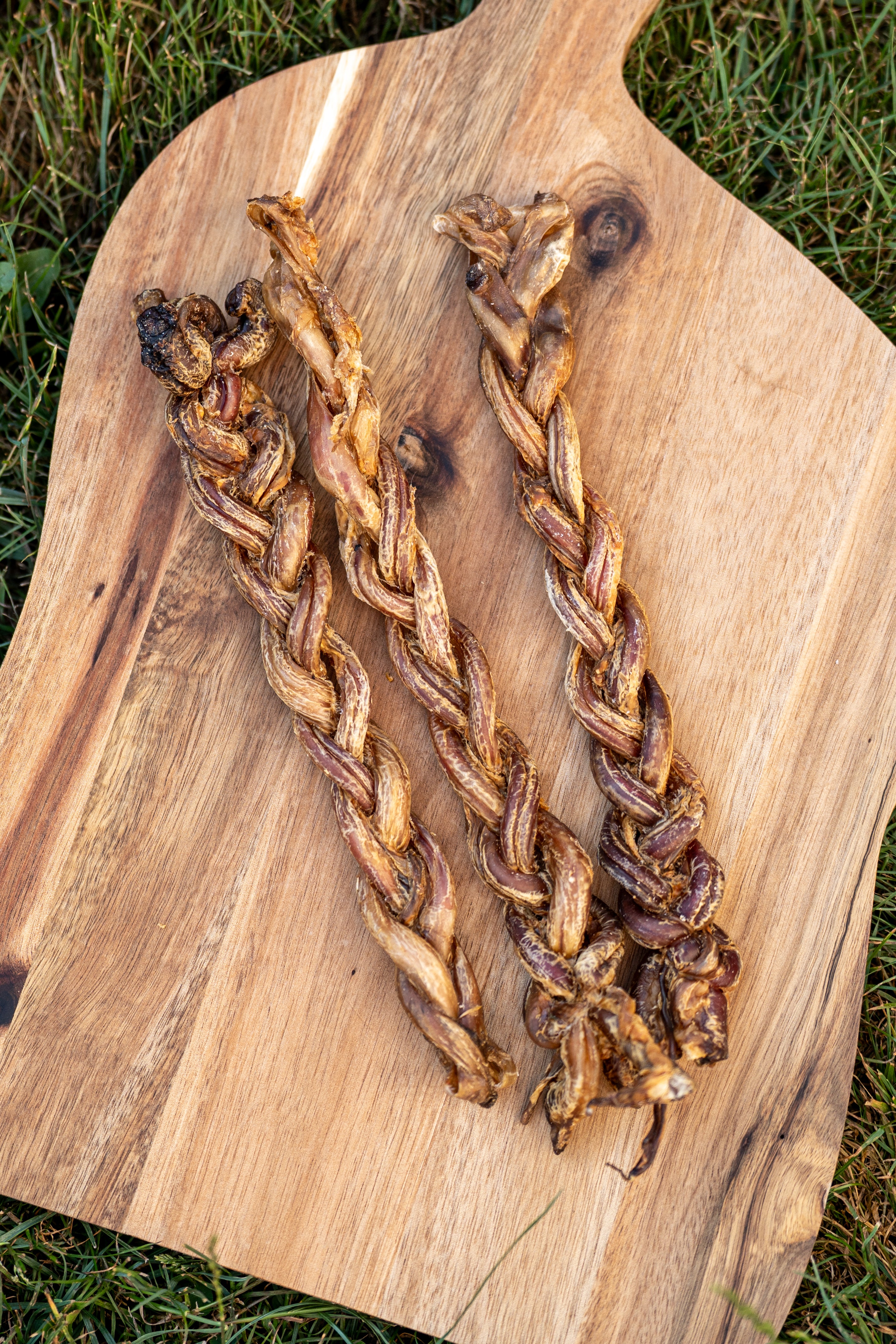 Lamb Pizzle Braid