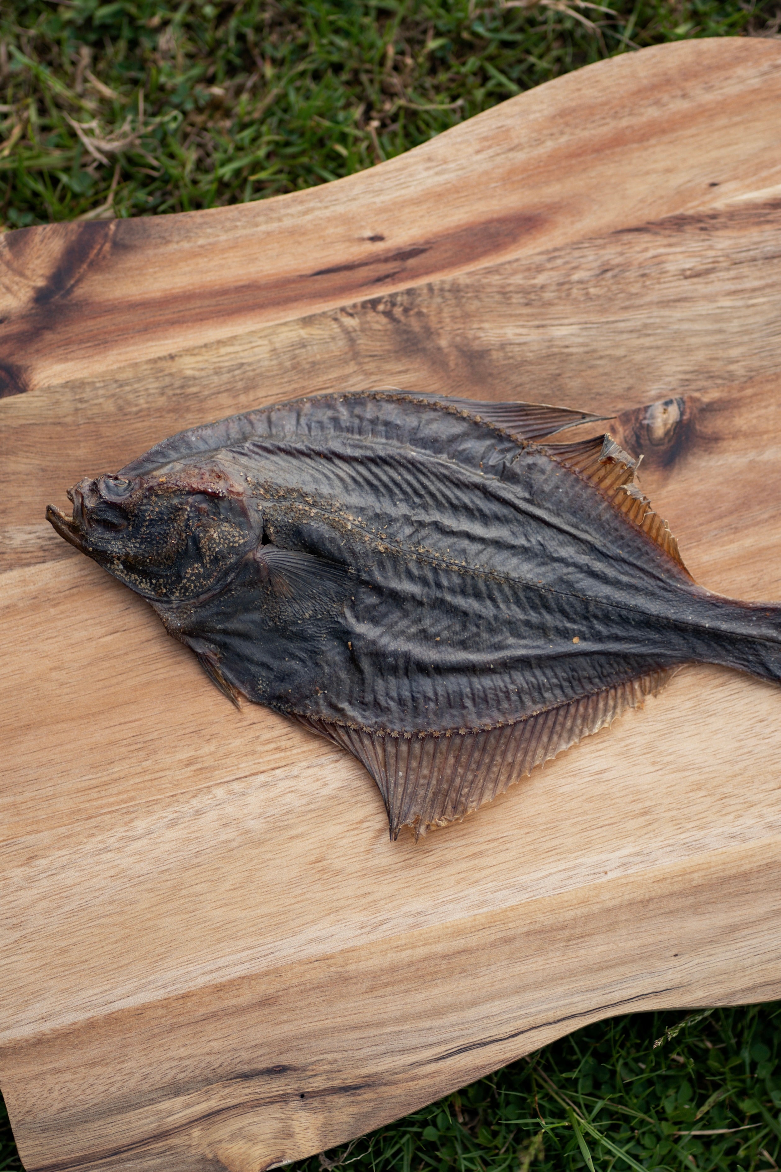 Flounder Fish