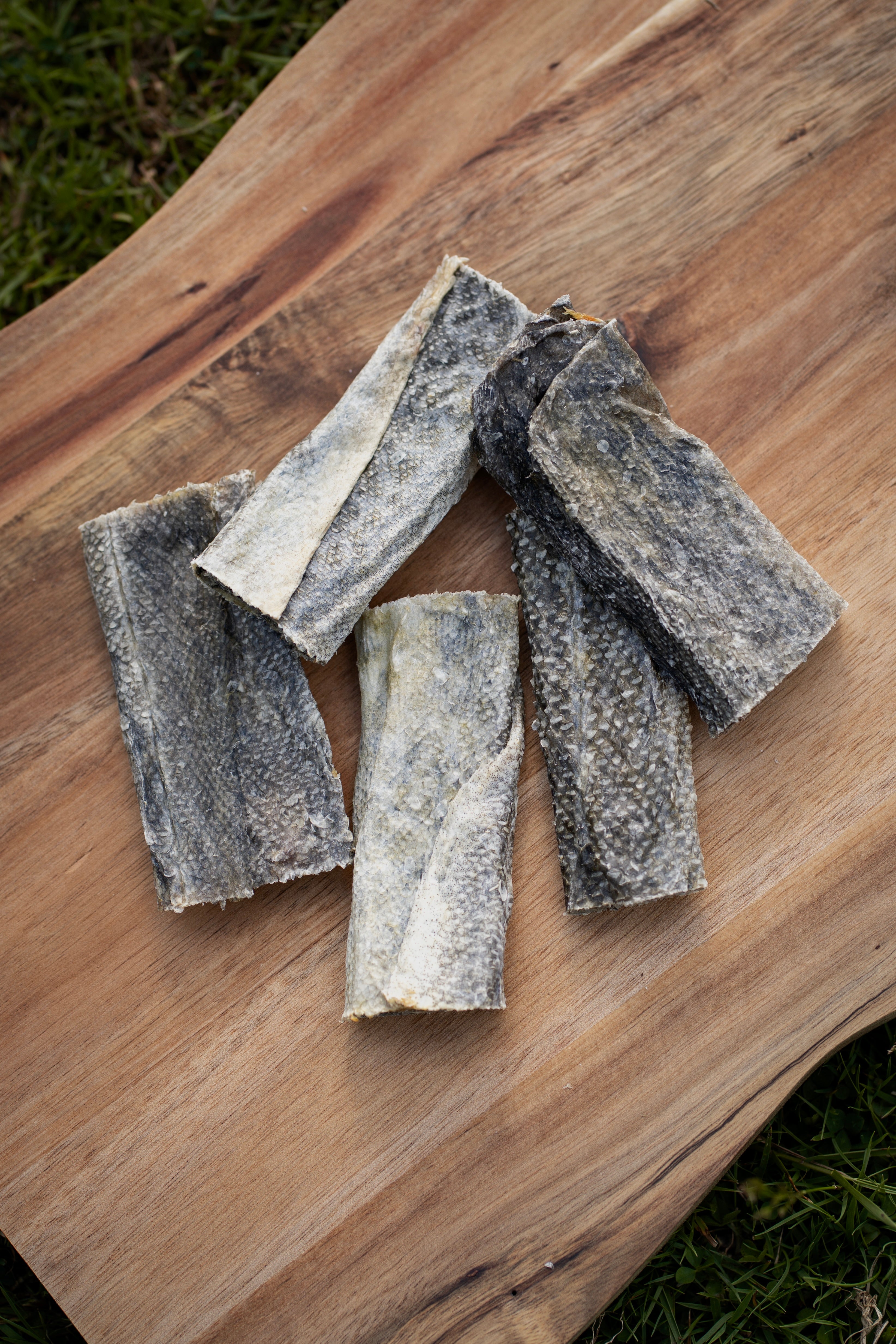 Fish Skin Flatties - Large