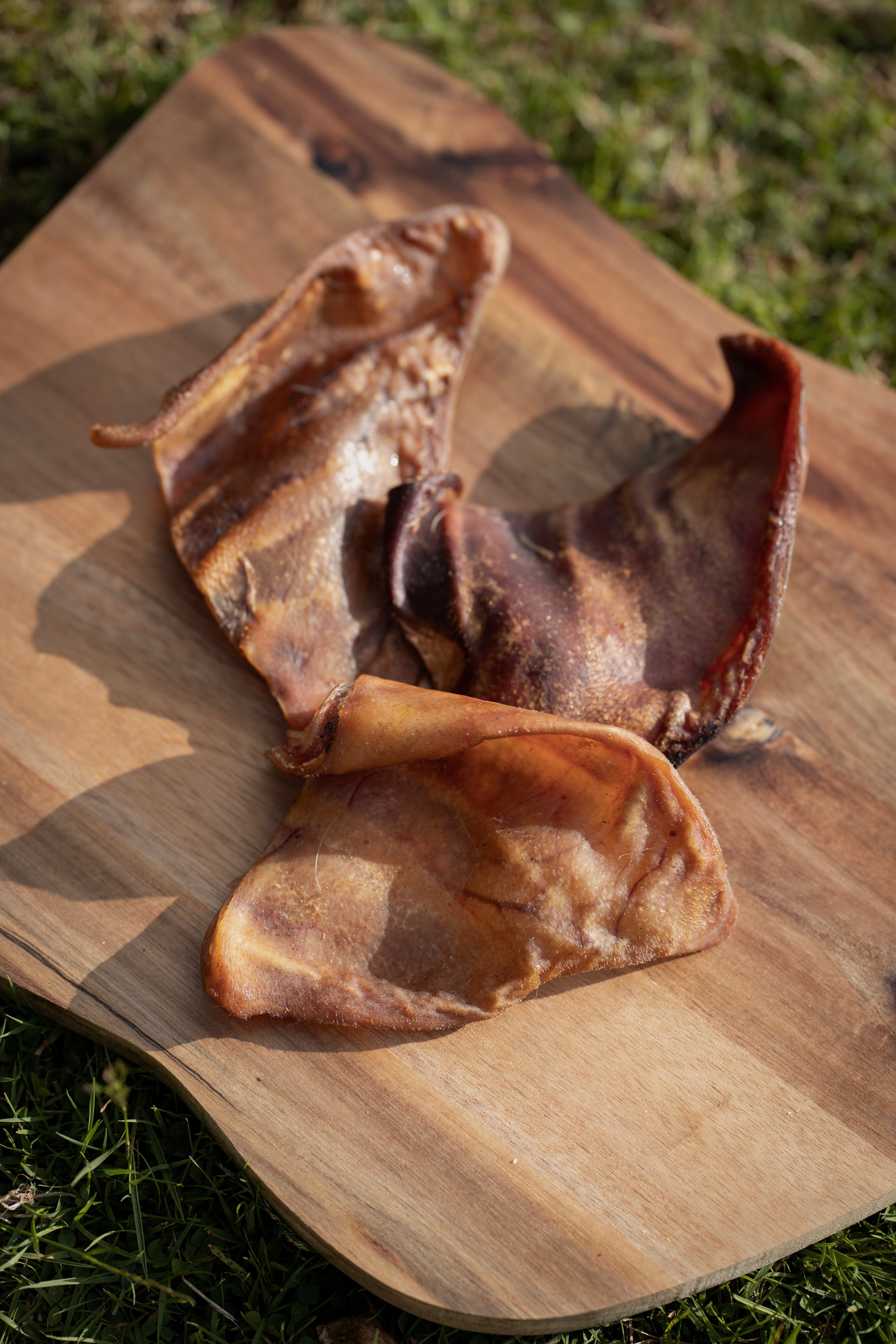Pig Ear