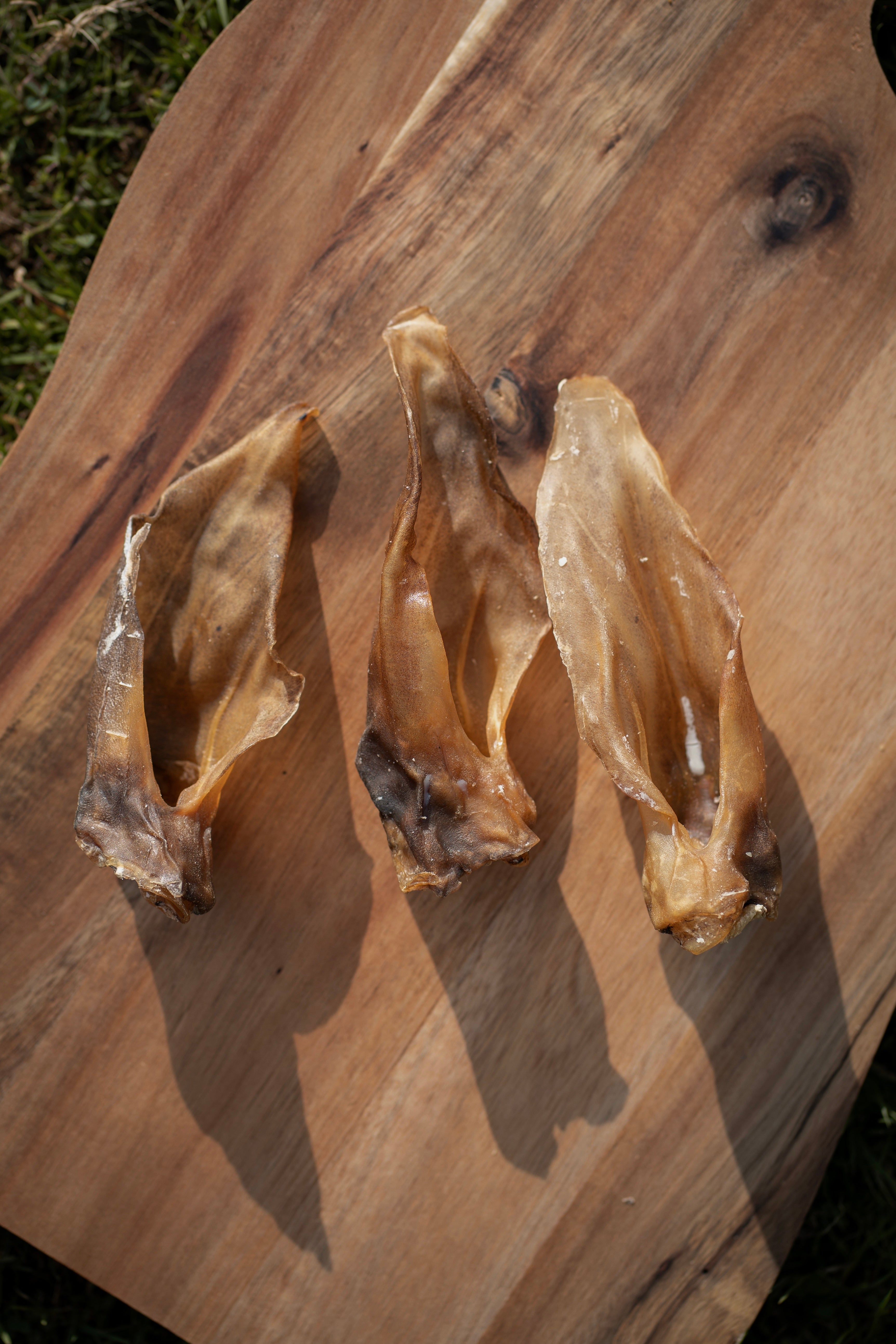 Venison Ear
