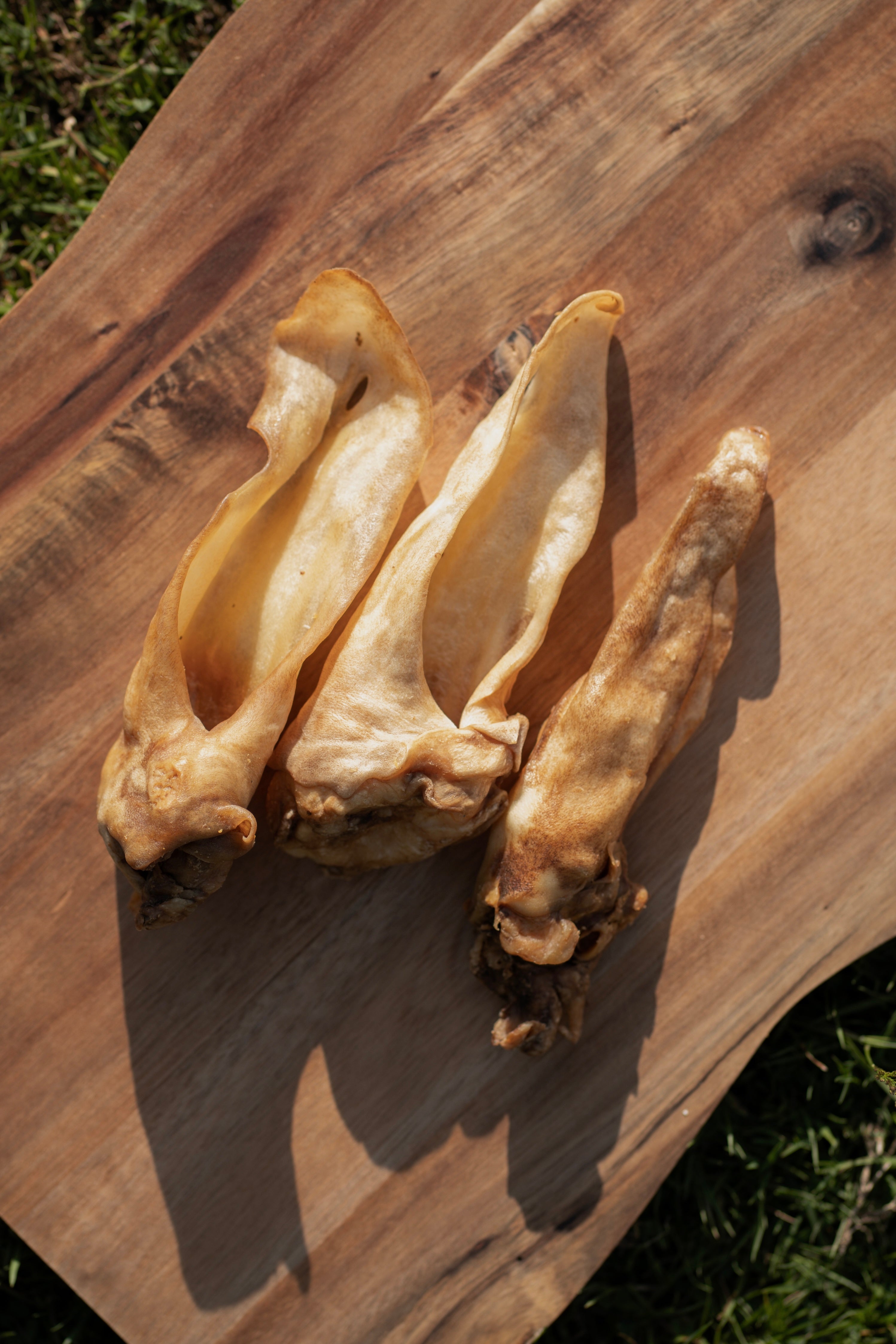 Lamb Ear