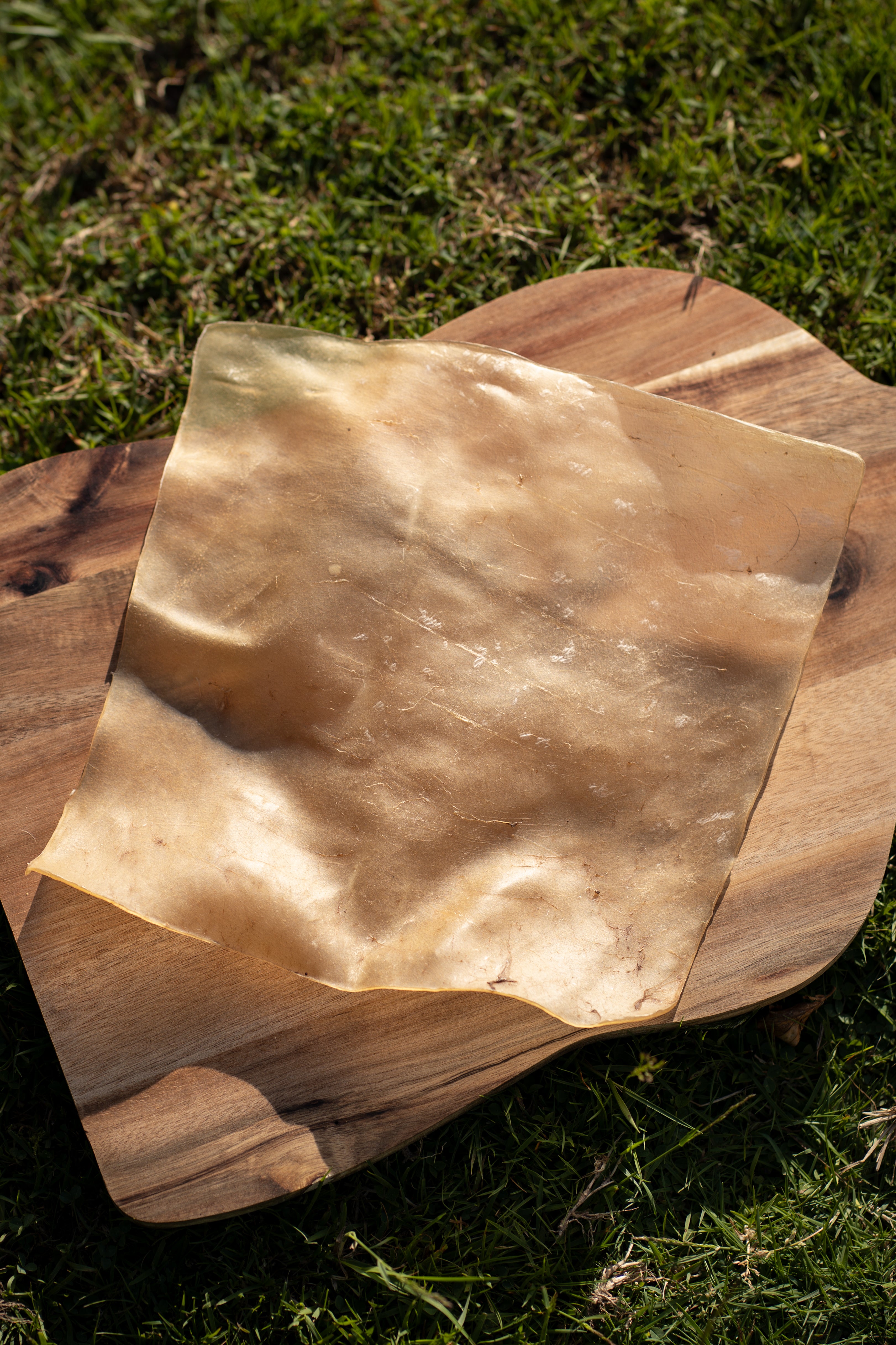 Lamb Skin Plate
