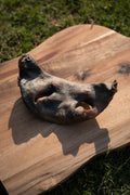 Beef Snout