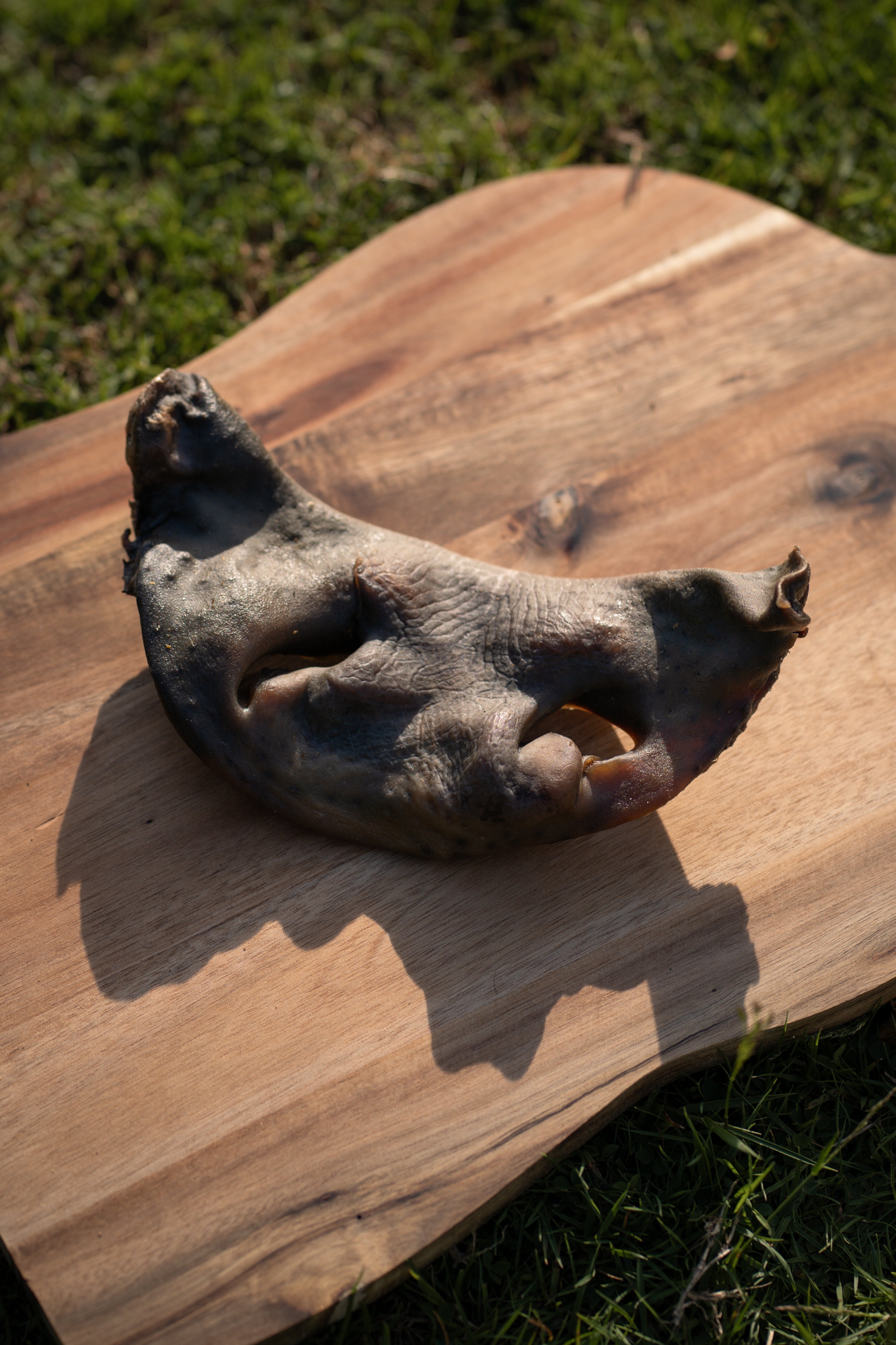 Beef Snout