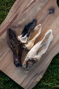 Hairy Lamb Ear