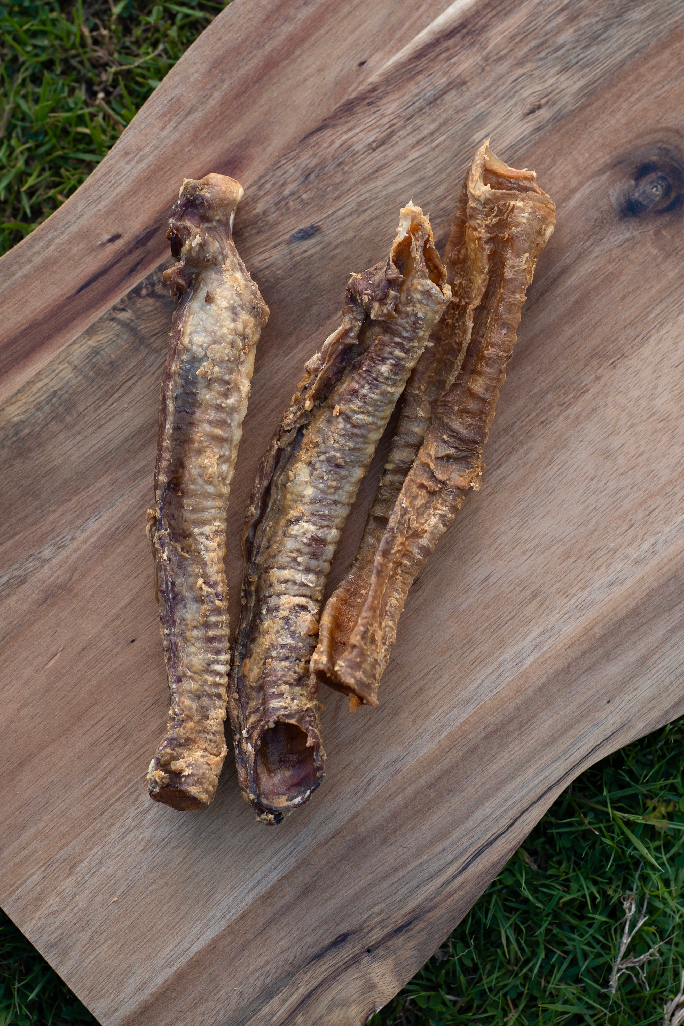 Lamb Trachea