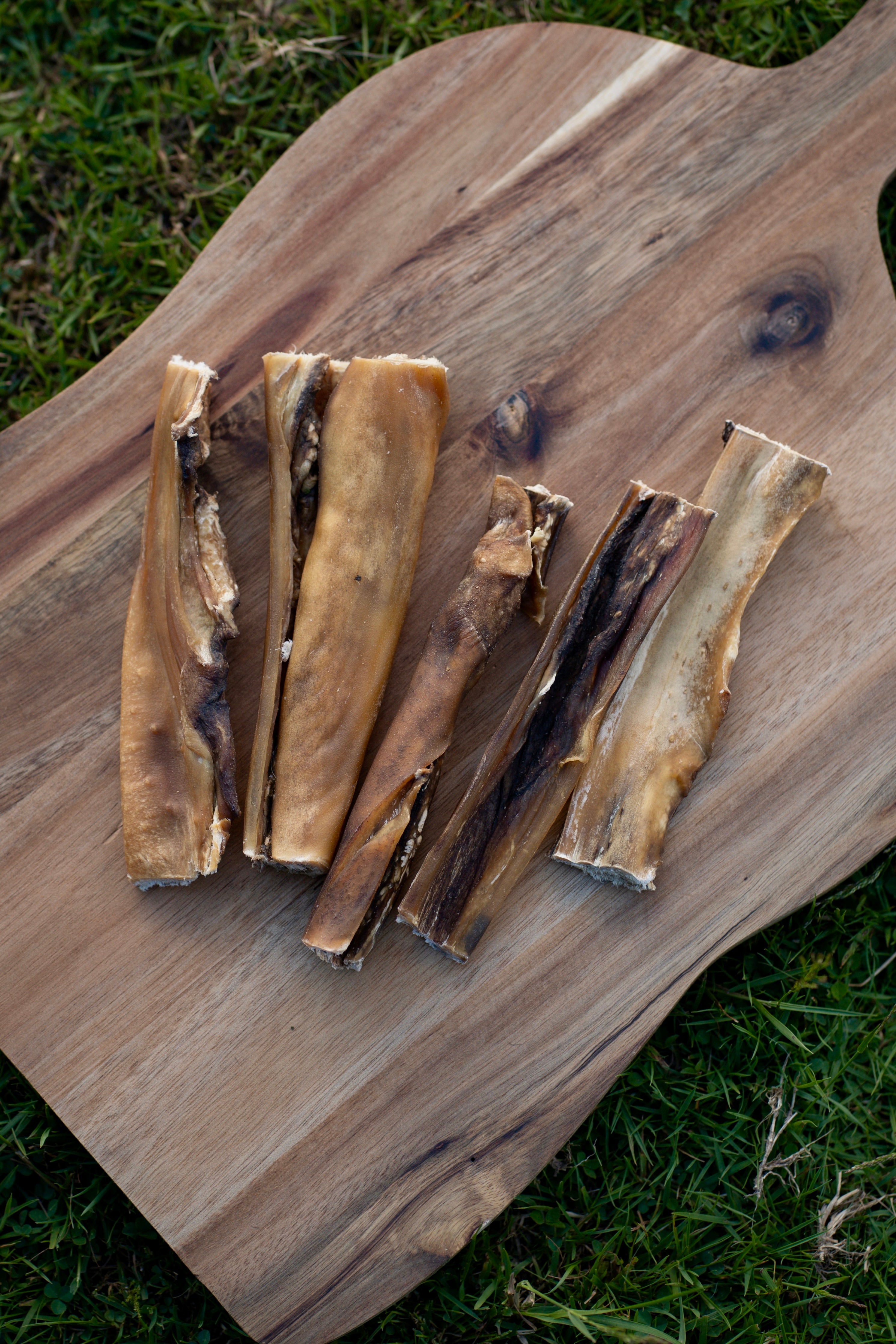 Wild Boar Skin